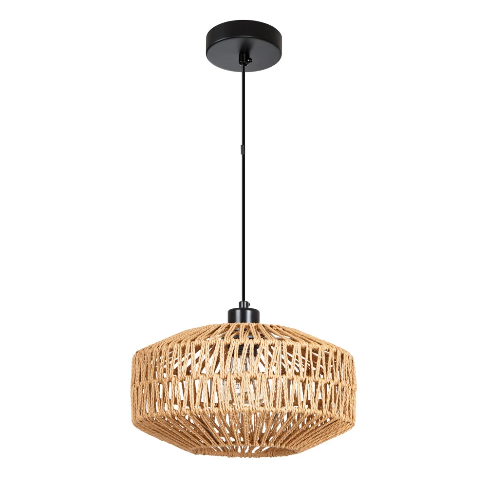 Подвесной светильник Arte Lamp BRUSHWOOD A7087SP-1BK — фото 1