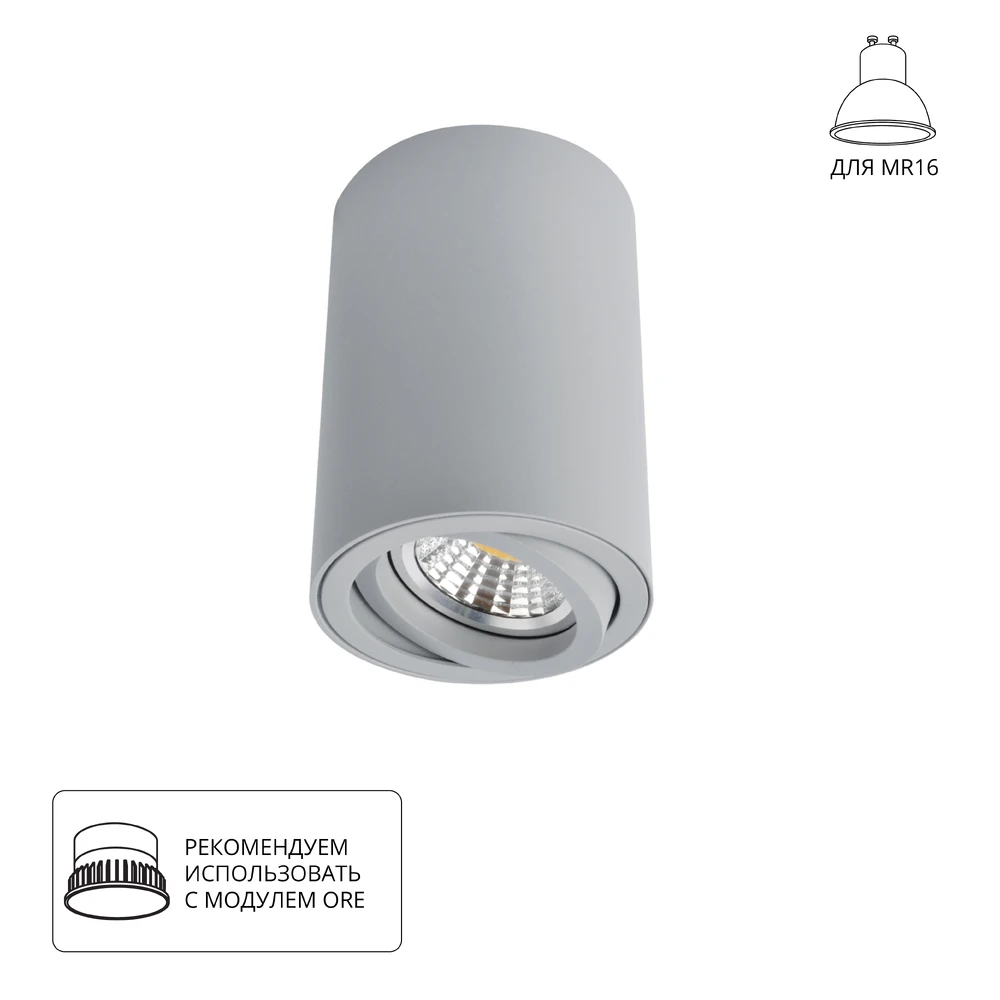 Точечный накладной светильник Arte Lamp SENTRY A1560PL-1GY — фото 1