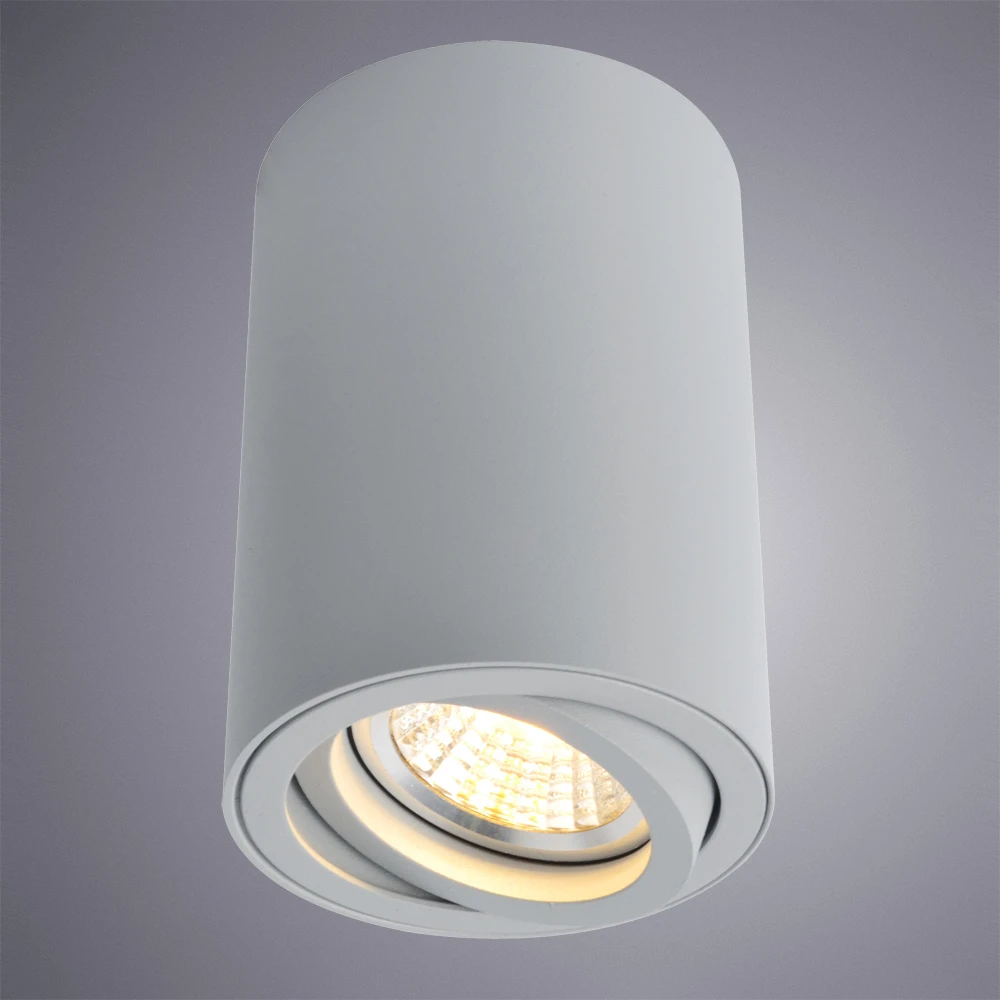 Точечный накладной светильник Arte Lamp SENTRY A1560PL-1GY — фото 2