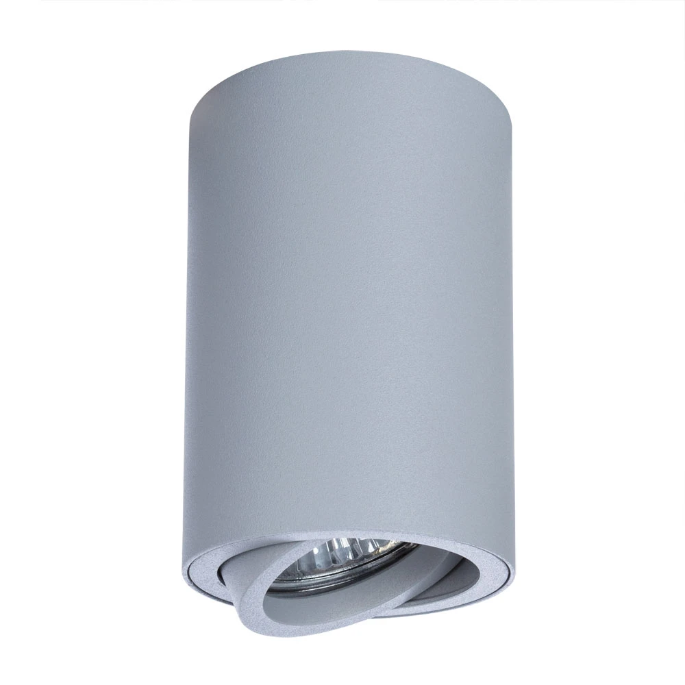 Точечный накладной светильник Arte Lamp SENTRY A1560PL-1GY — фото 3