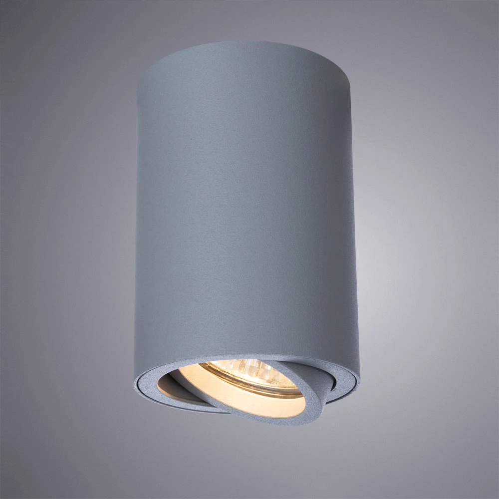 Точечный накладной светильник Arte Lamp SENTRY A1560PL-1GY — фото 4