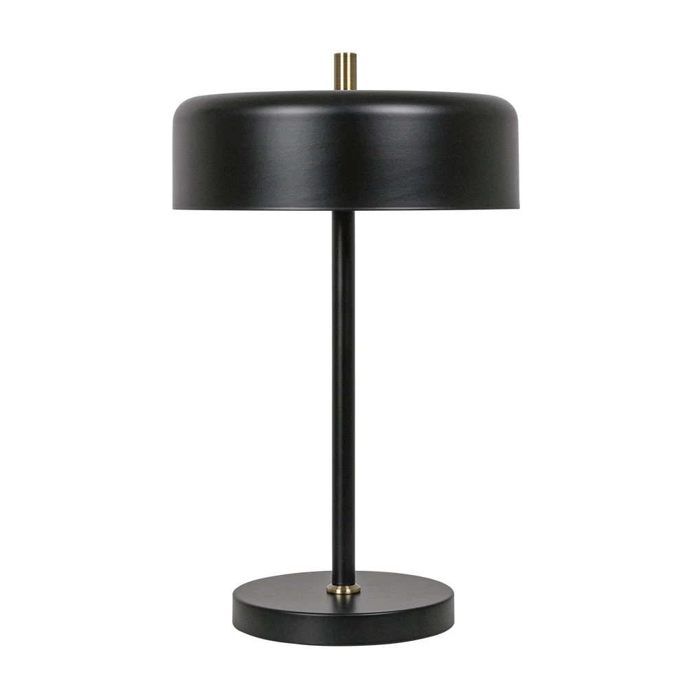 Декоративная настольная лампа Arte Lamp SKAT A7052LT-2BK — фото 1