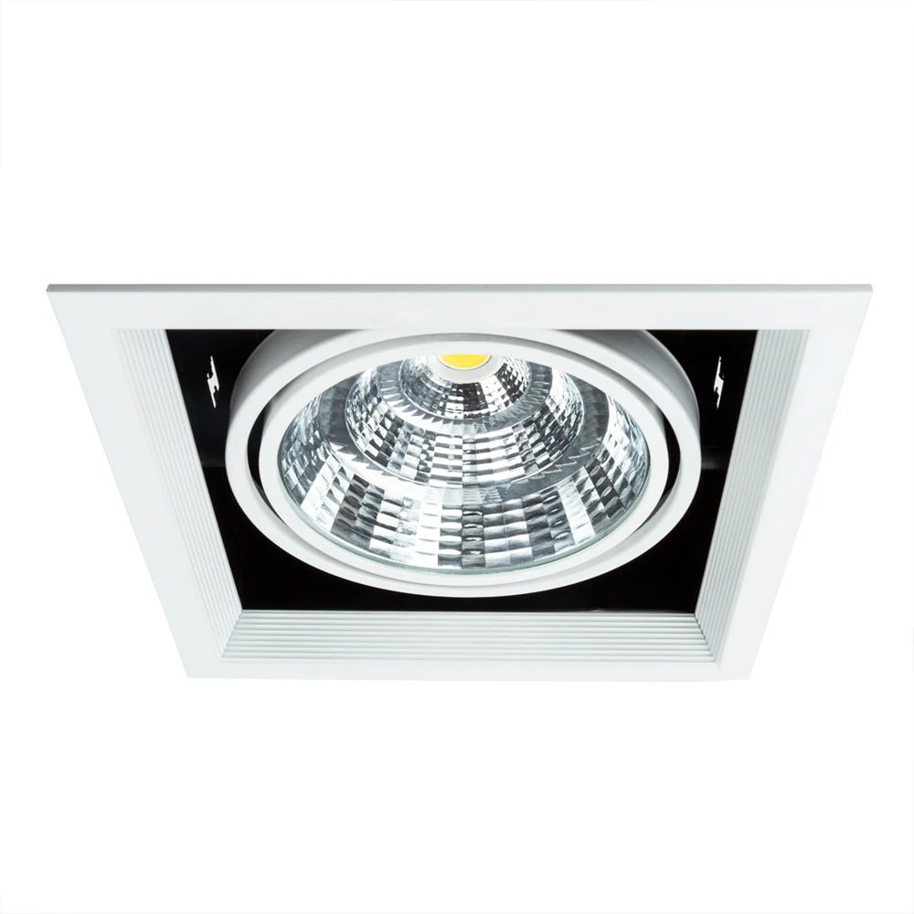Карданный светильник Arte Lamp MERGA A8450PL-1WH — фото 1
