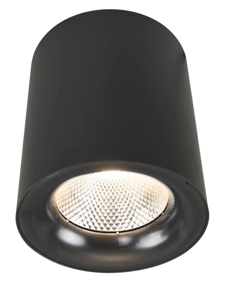 Точечный накладной светильник Arte Lamp FACILE A5118PL-1BK — фото 1