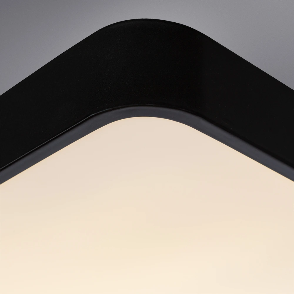 Потолочный светильник Arte Lamp SCENA A2663PL-1BK — фото 4