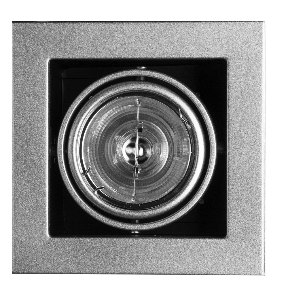 Карданный светильник Arte Lamp CARDANI MEDIO A5930PL-1SI — фото 1