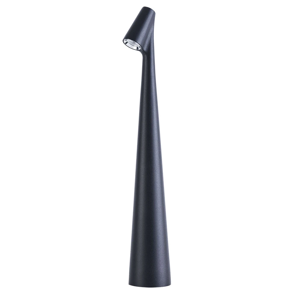 Декоративная настольная лампа Arte Lamp FUSION A3283LT-2BK — фото 1