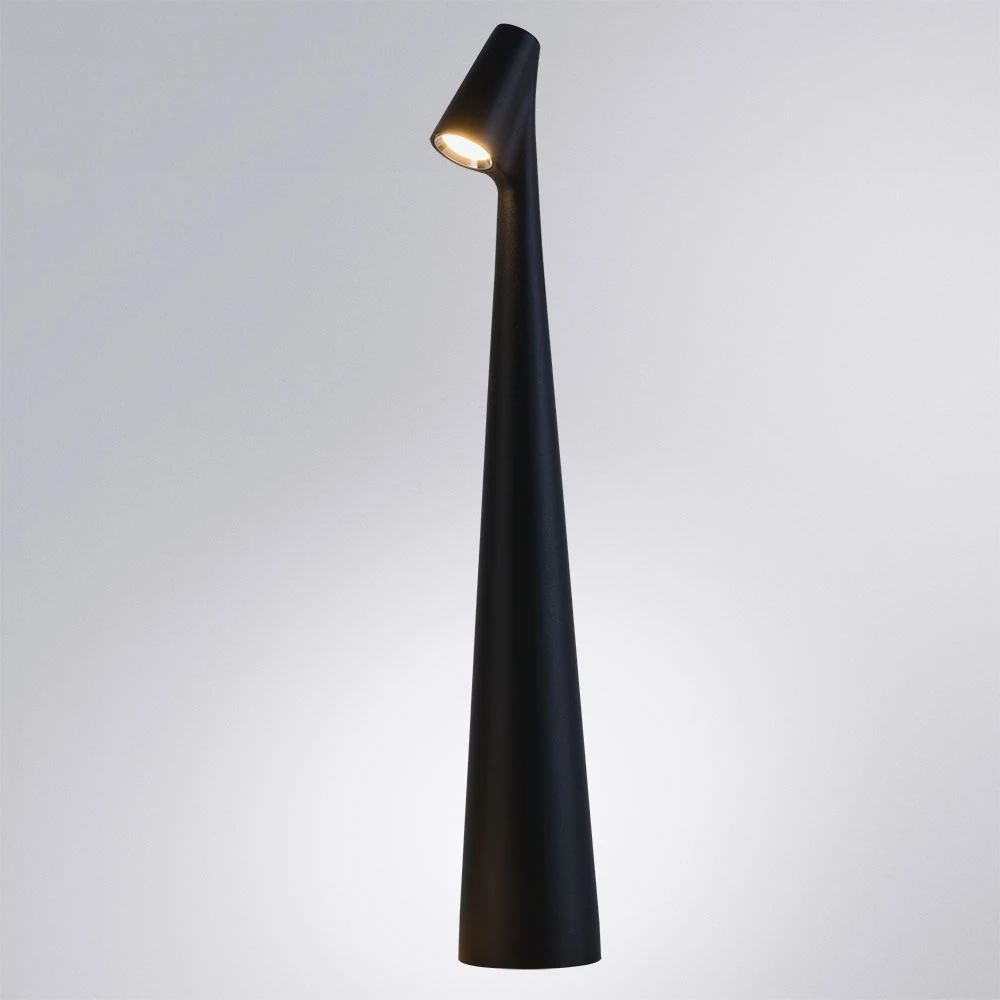 Декоративная настольная лампа Arte Lamp FUSION A3283LT-2BK — фото 2